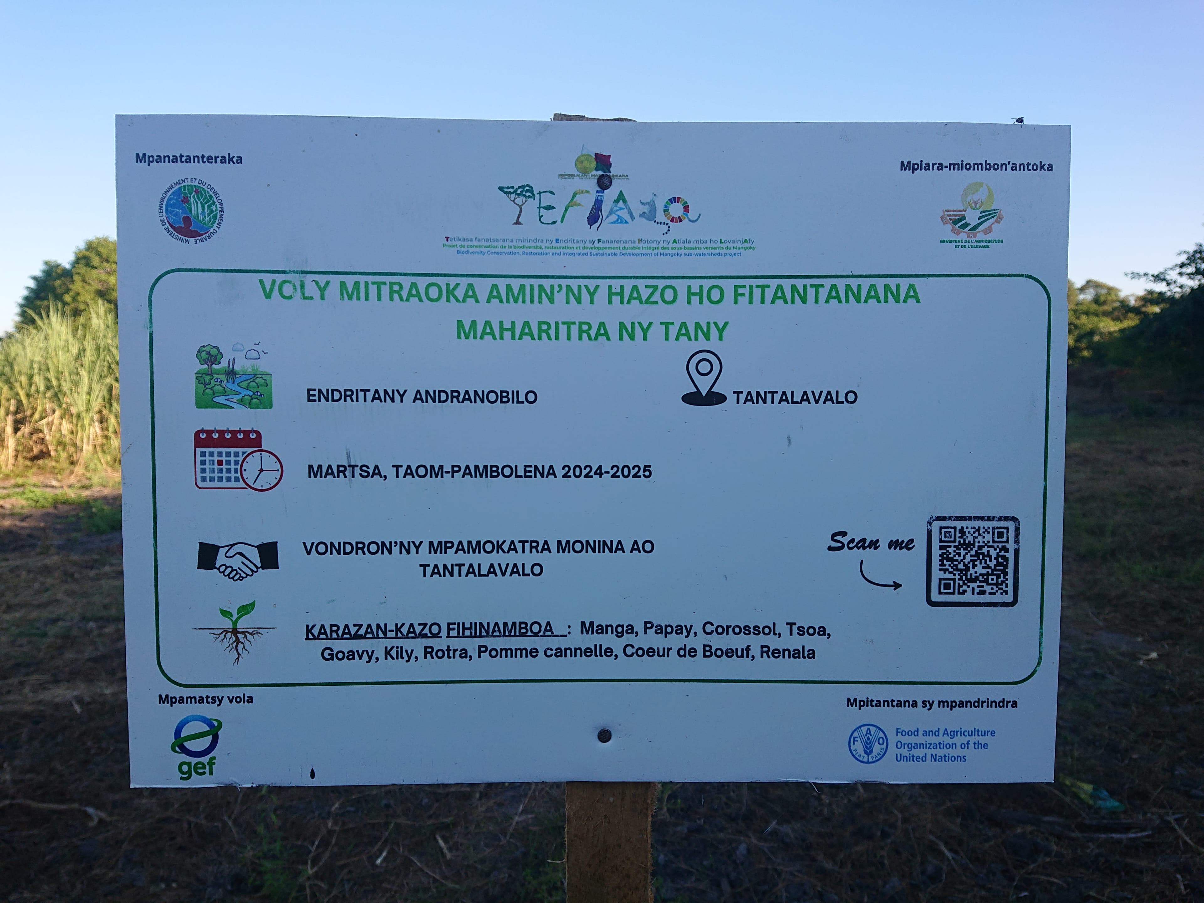Community Partnership
